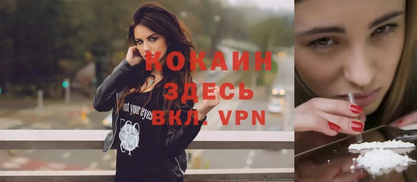 прущий лед Богданович