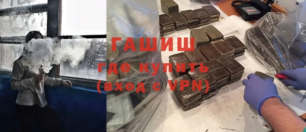 индика Осинники