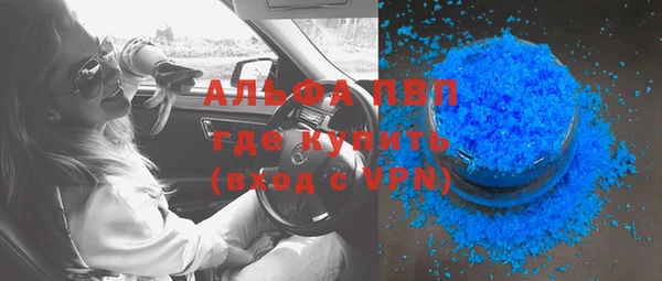 прущий лед Богданович