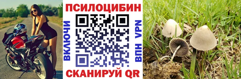 Галлюциногенные грибы Psilocybine cubensis  Белебей 
